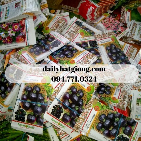dailyhatgiong.com094.771.0324 (2)